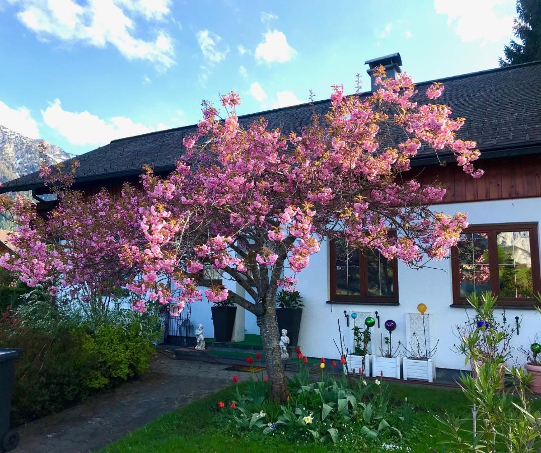 Vila Haus Belli Bad Aussee Exteriér fotografie